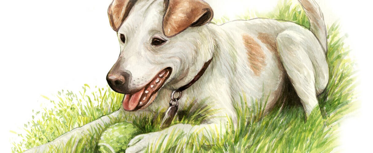 watercolor-dog-portrait-in-grass