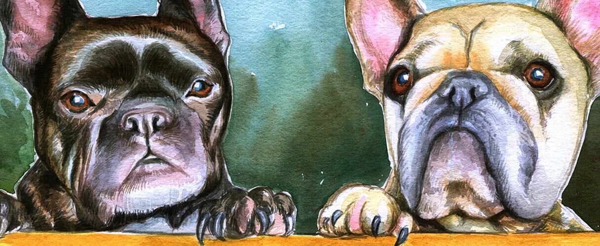 watercolor-dog-portrait-two-pugs