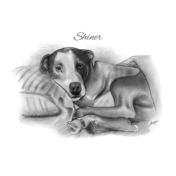 pencil sketch art of a dog with text Shiner