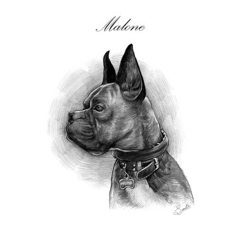pencil sketch drawing of a dog with text of Malone