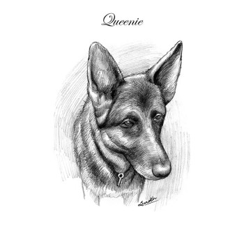 pencil sketch portrait of a dog with text Queenie