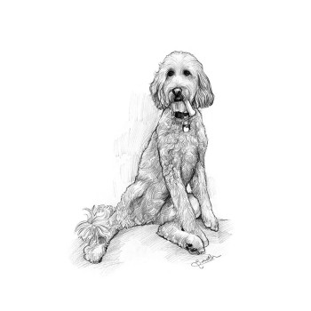 pencil sketch art of a dog with a bone