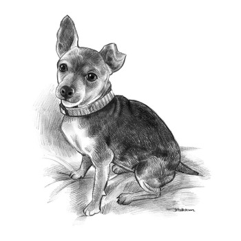 pencil sketch portrait of a dog 