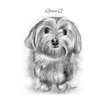 pencil sketch portrait of a dog with text of Queen Q