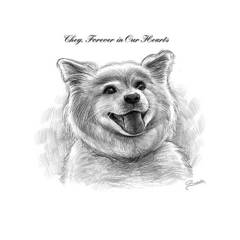 pencil sketch portrait of a dog with text of Chey Forever in Our Hearts