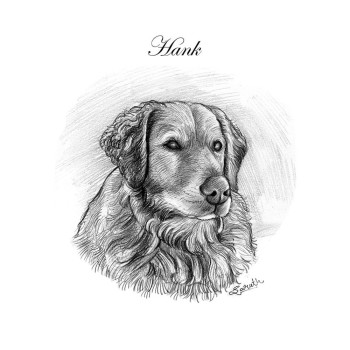 pencil sketch portrait of a dog with text Hank