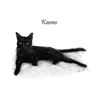 pencil sketch portrait of a sitting cat with text Kozmo