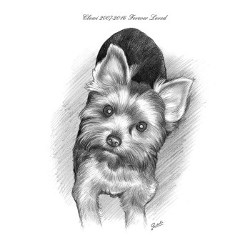 pencil sketch portrait of a dog with text Clowi 2007-2016 Forever Loved