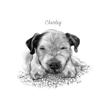 pencil sketch portrait of a dog with text of Charley