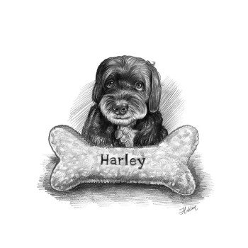 pencil sketch drawing of a dog with name Harley on a pillow