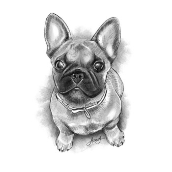 pencil sketch portrait of a dog