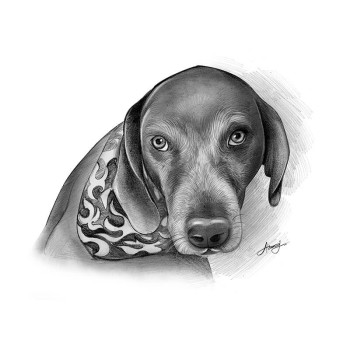 pencil sketch portrait of a dog wearing a neck bandanna