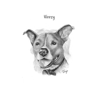 pencil sketch art of a dog with text Weezy