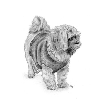 pencil sketch portrait of a dog wearing a sweater