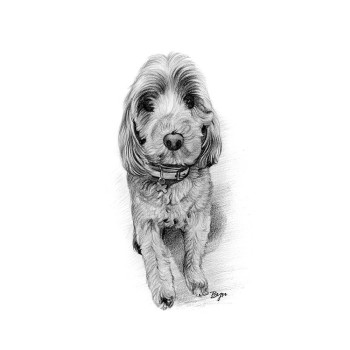 pencil sketch portrait of a dog