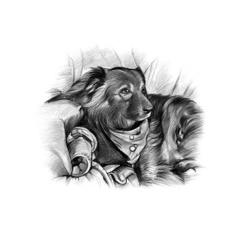 pencil sketch rendering of a dog