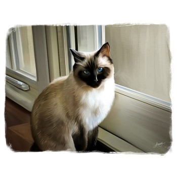 oil painting of a cat sitting by a windowsill