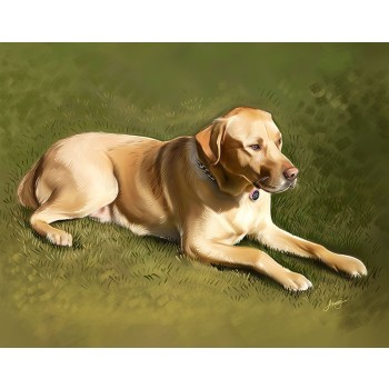 oil painting of a dog laying down