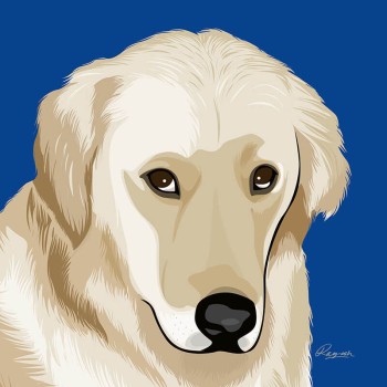 pop art portrait of a dog's face