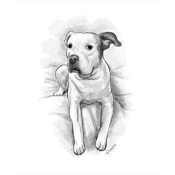 pencil sketch art of a dog on a blanket
