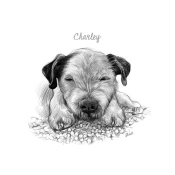 pencil sketch portrait of a dog's face with text Charley