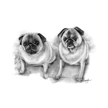 pencil sketch portrait of 2 dogs