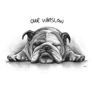 pencil sketch portrait of a dog with text Our Winslow