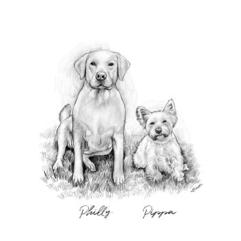 pencil sketch portraits of 2 dogs with text Philly Pippa
