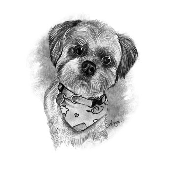 pencil sketch artwork of a dog with neckscarf