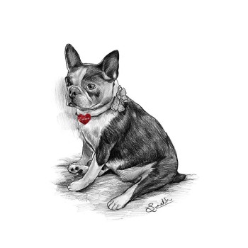 pencil sketch of a dog with text Emma on a red dog tag