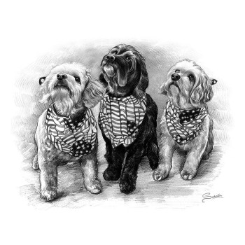 pencil sketch art of 3 sitting dogs looking up