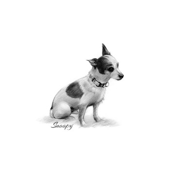 pencil sketch portrait of a sitting dog with text Snoopy