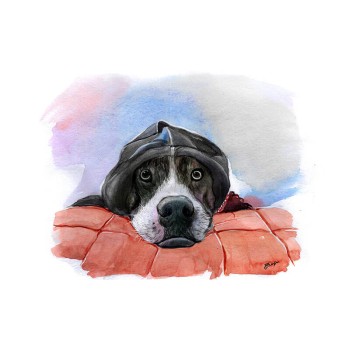 watercolor portrait of a dog with a hood