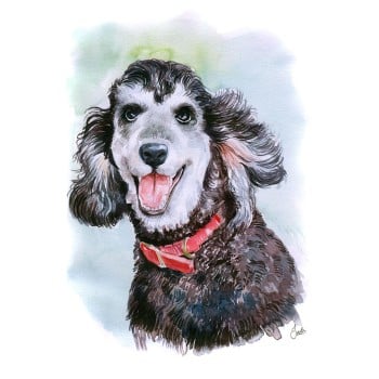 watercolor portrait of a dog's head 