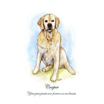 watercolor portrait of a sitting dog with text Cooper Your paw prints are forever in our hearts