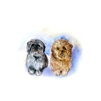 watercolor art of 2 small dogs side by side