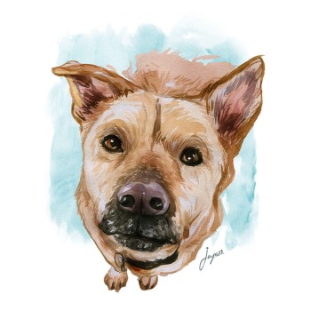 watercolor portrait of a dog's face looking up