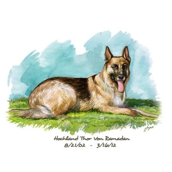 watercolor portrait of a dog with text Hochland Thor Von Ramadan 8/02 - 3/12