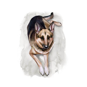 watercolor portrait of a dog laying down