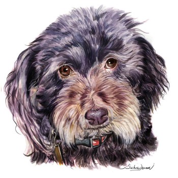 watercolor painting of a dog's face