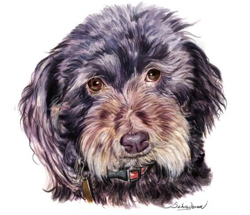 Pet Portraits - From A Photo