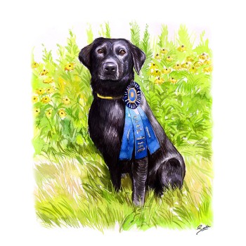 watercolor of a dog with blue ribbon