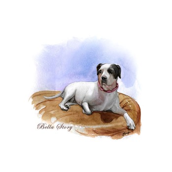 watercolor of a dog on dog-bed with text of Bella Story