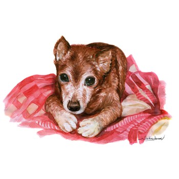 watercolor portrait of a dog on a blanket