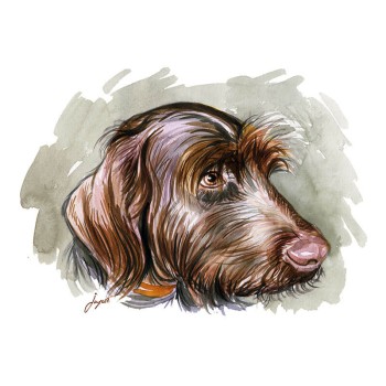 watercolor portrait close-up of a dog's face