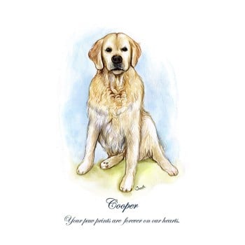 watercolor memorial of a dog with text Cooper Your paw prints are forever on our hearts