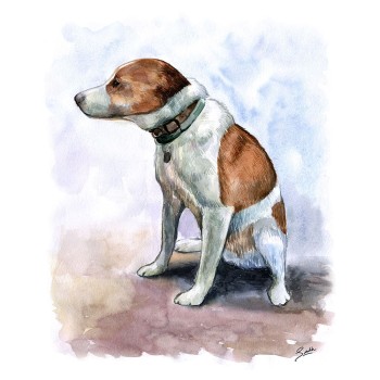 watercolor portrait of a dog sitting