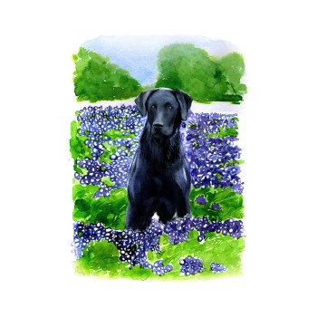 watercolor of a dog in a field of flowers