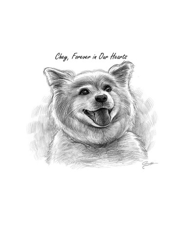 dog dog