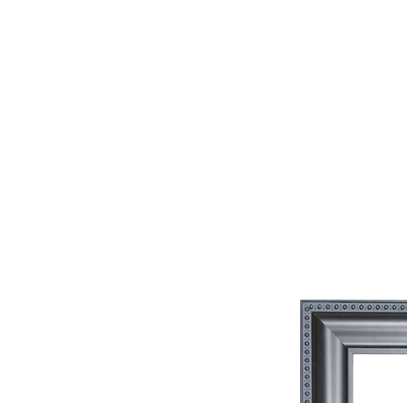 canvas black premium 